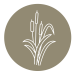 EarthResources-Icons-05-@2x